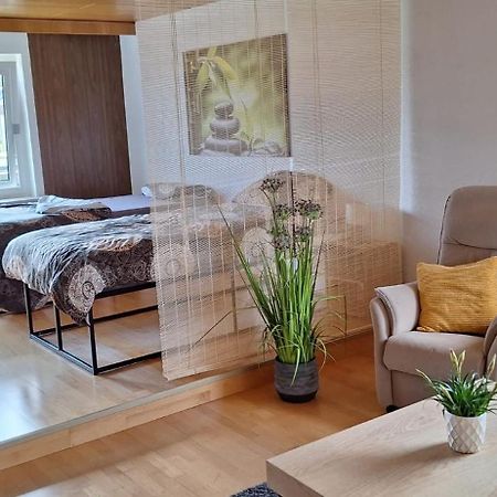 Haus Gartenblick 吕塞尔斯海姆 外观 照片