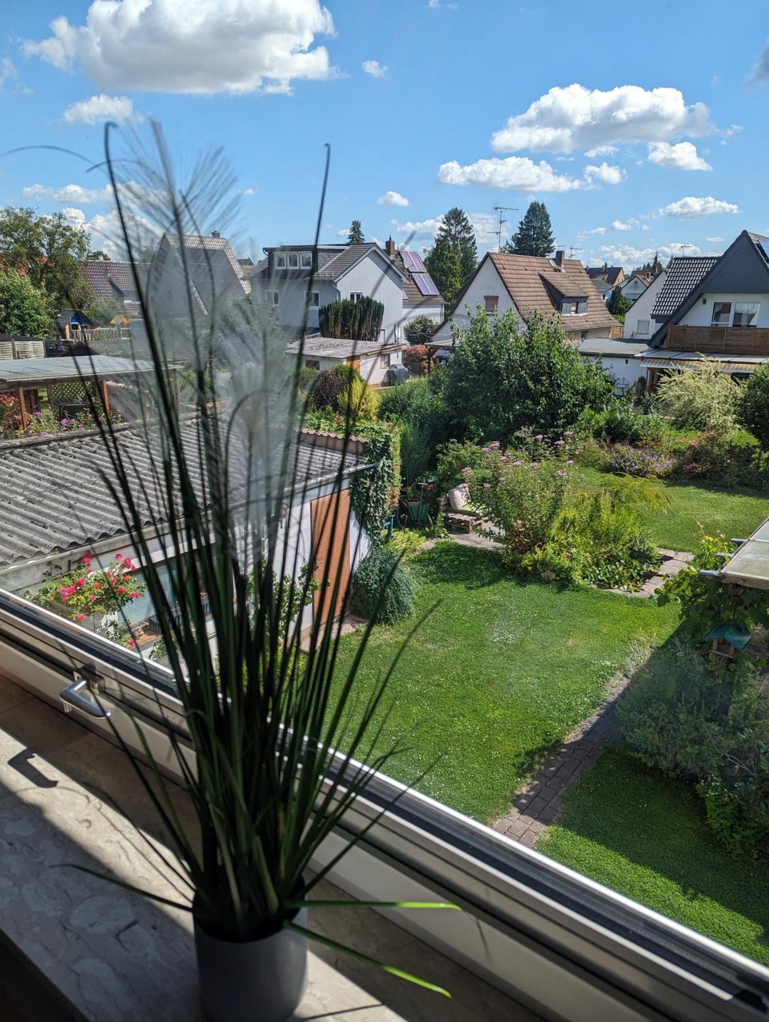 Haus Gartenblick 吕塞尔斯海姆 外观 照片